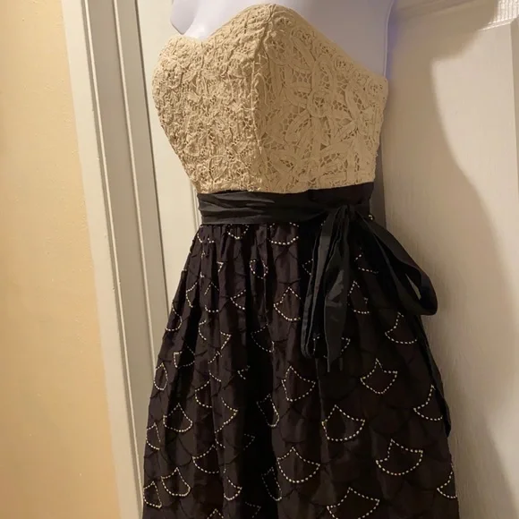 Anthropologie Meadow Rue Battenberg & Organdy mini dress in black white 6 - Picture 4 of 16